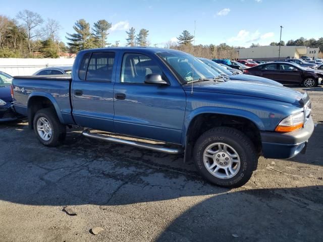 2004 Dodge Dakota Quad Sport