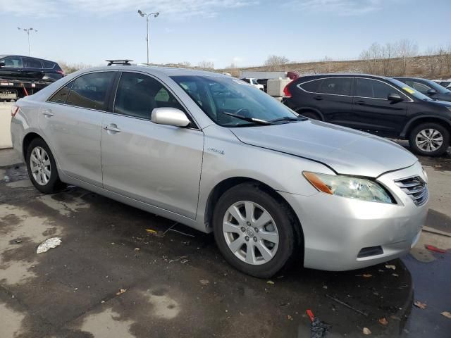 2009 Toyota Camry Hybrid