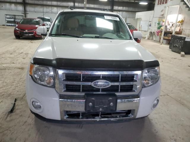 2009 Ford Escape Limited