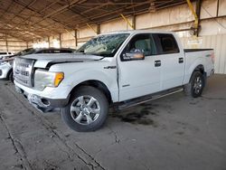 Salvage cars for sale at Phoenix, AZ auction: 2013 Ford F150 Supercrew