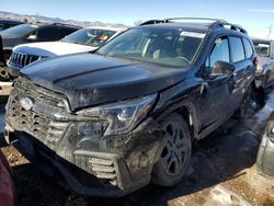 Salvage cars for sale at Littleton, CO auction: 2024 Subaru Ascent Onyx Edition