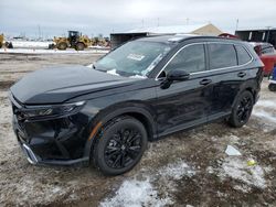 Salvage Cars with No Bids Yet For Sale at auction: 2025 Honda CR-V Sport Touring