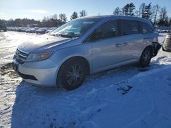 Salvage cars for sale at Finksburg, MD auction: 2011 Honda Odyssey EXL