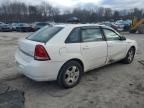 2004 Chevrolet Malibu Maxx LT