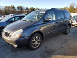 Salvage cars for sale at auction: 2014 KIA Sedona LX