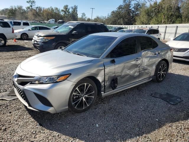 2019 Toyota Camry Hybrid