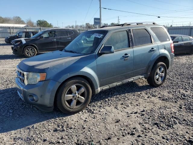 2010 Ford Escape Limited