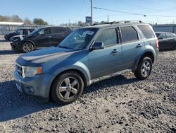 Salvage cars for sale at Hueytown, AL auction: 2010 Ford Escape Limited