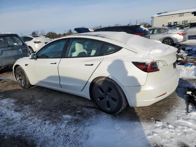 2021 Tesla Model 3