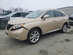 Salvage cars for sale at Spartanburg, SC auction: 2010 Lexus RX 350