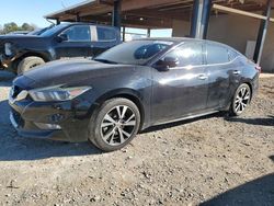 Nissan Vehiculos salvage en venta: 2016 Nissan Maxima 3.5S