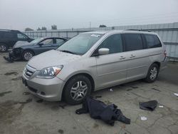 Salvage cars for sale from Copart Martinez, CA: 2006 Honda Odyssey EXL