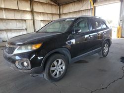 KIA salvage cars for sale: 2011 KIA Sorento Base