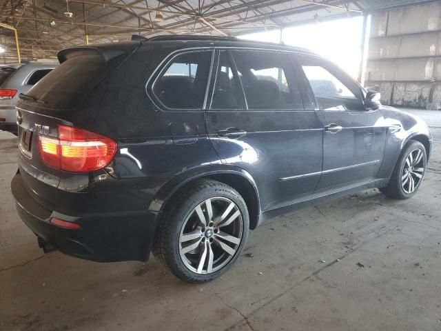 2010 BMW X5 M