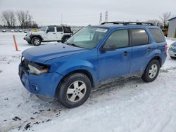 Salvage cars for sale at Barberton, OH auction: 2012 Ford Escape XLT