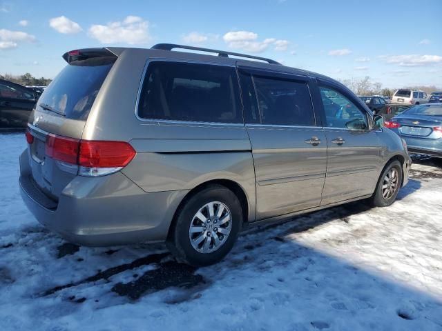 2010 Honda Odyssey EXL