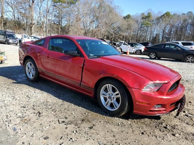 2013 Ford Mustang