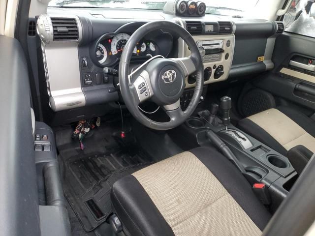 2010 Toyota FJ Cruiser