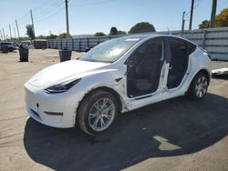 Salvage cars for sale from Copart Miami, FL: 2024 Tesla Model Y