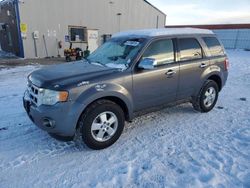 Ford salvage cars for sale: 2011 Ford Escape XLT