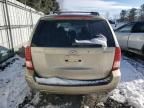 2008 Hyundai Entourage GLS