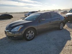 Salvage cars for sale from Copart San Antonio, TX: 2011 Nissan Altima Base