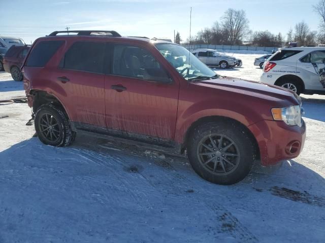 2011 Ford Escape XLT