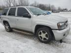 2008 Chevrolet Trailblazer LS