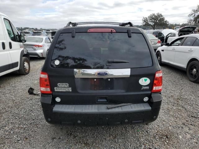 2010 Ford Escape Limited