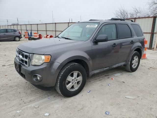 2009 Ford Escape XLT