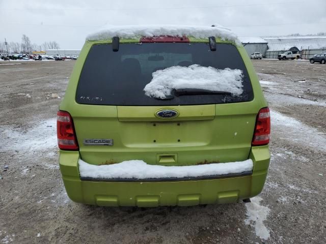 2012 Ford Escape XLT