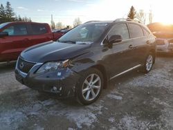 Lexus Vehiculos salvage en venta: 2010 Lexus RX 350