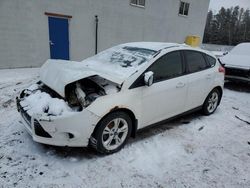 Salvage cars for sale at auction: 2013 Ford Focus SE