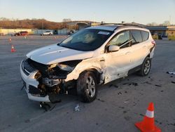 Salvage cars for sale at Lebanon, TN auction: 2013 Ford Escape SE