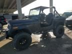 1981 Jeep Jeep CJ7