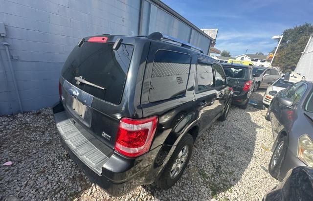 2010 Ford Escape Limited