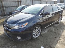 Lexus salvage cars for sale: 2010 Lexus HS 250H