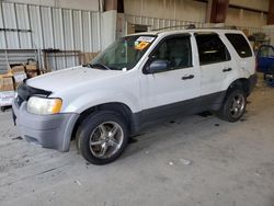 Ford salvage cars for sale: 2003 Ford Escape XLT