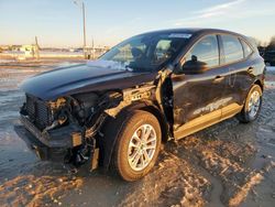 Salvage cars for sale at Columbia, MO auction: 2021 Ford Escape S