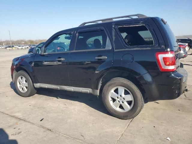 2009 Ford Escape XLT