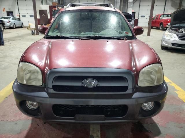 2005 Hyundai Santa FE GLS