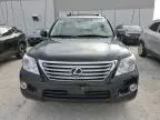 2009 Lexus LX 570