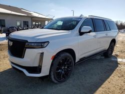 Cadillac salvage cars for sale: 2024 Cadillac Escalade ESV Sport Platinum