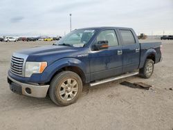 Vehiculos salvage en venta de Copart Amarillo, TX: 2011 Ford F150 Supercrew