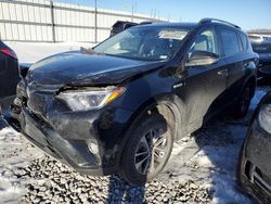 Salvage cars for sale at Cahokia Heights, IL auction: 2018 Toyota Rav4 HV LE