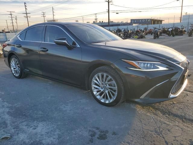 2019 Lexus ES 300H