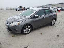 Ford Focus se Vehiculos salvage en venta: 2013 Ford Focus SE