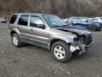 2006 Ford Escape XLT