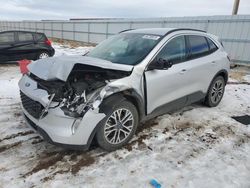 Salvage cars for sale at Rapid City, SD auction: 2020 Ford Escape SEL