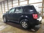 2010 Ford Escape Limited